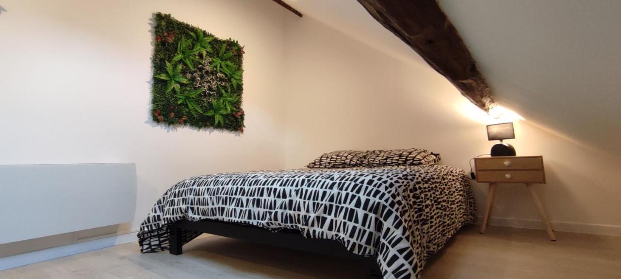 202 Duplex A Colombage En Plein Centre Ville Bourges Esterno foto
